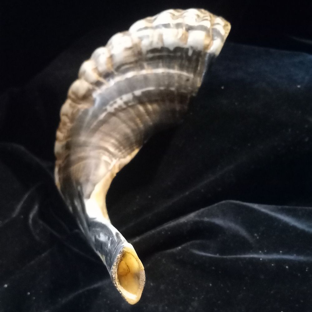 Shofar Rams Horn Trumpet